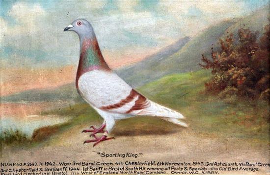 Andrew Beer Portrait of the racing pigeon, Sporting King, c.1943, 11.5 x 17.5in.